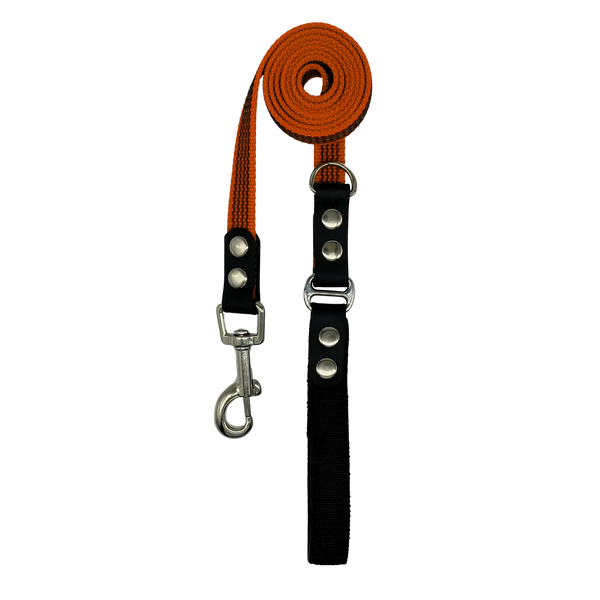 Orange dog leash with silver hook on a white background
