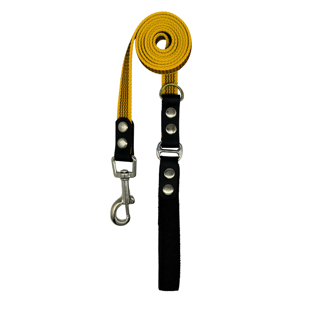 Dog leash with yellow and black sections on a white background