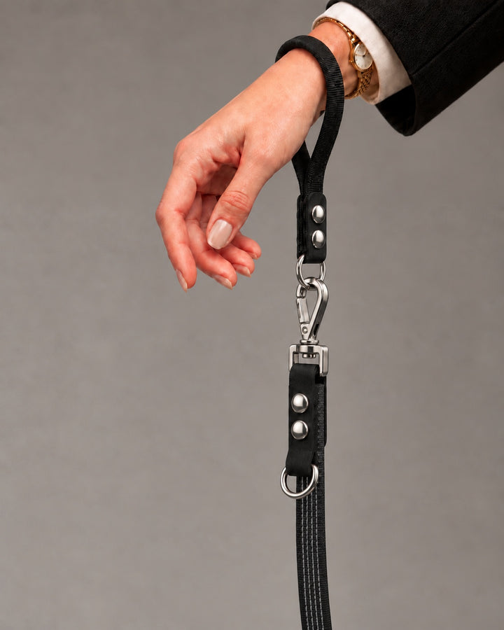 Leash FLEX, Black / Silver, kutyán