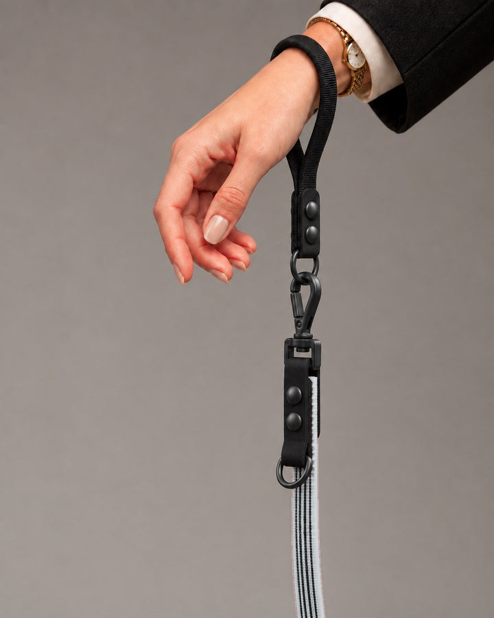 Leash FLEX, Gray / Black, kutyán