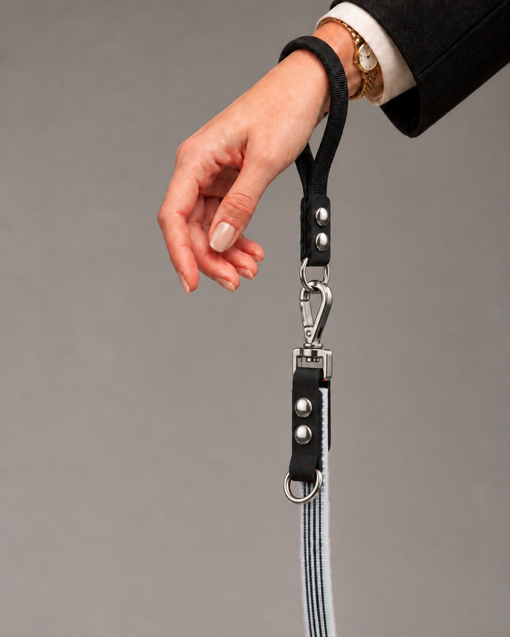 Leash FLEX, Gray / Silver, kutyán