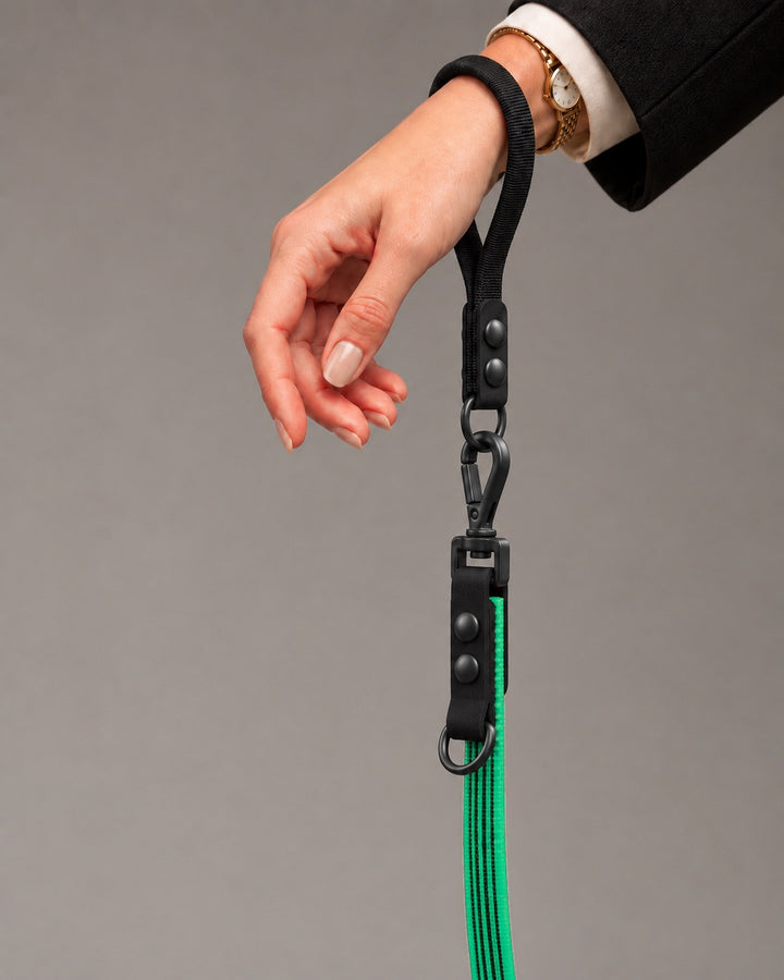 Leash FLEX, Green / Black, kutyán