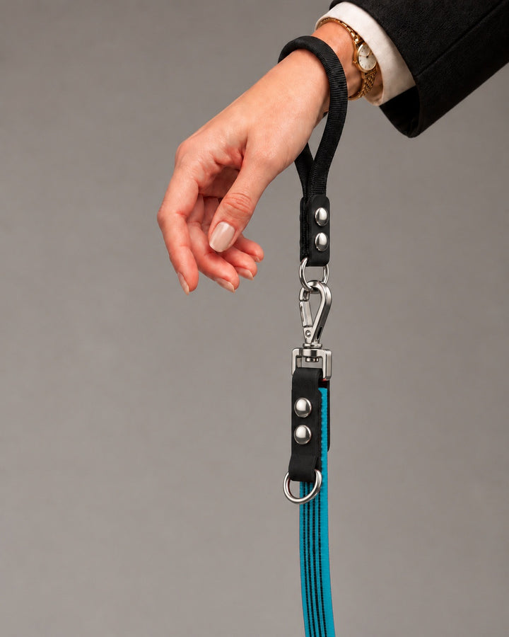 Leash FLEX, Kerosene / Silver, kutyán