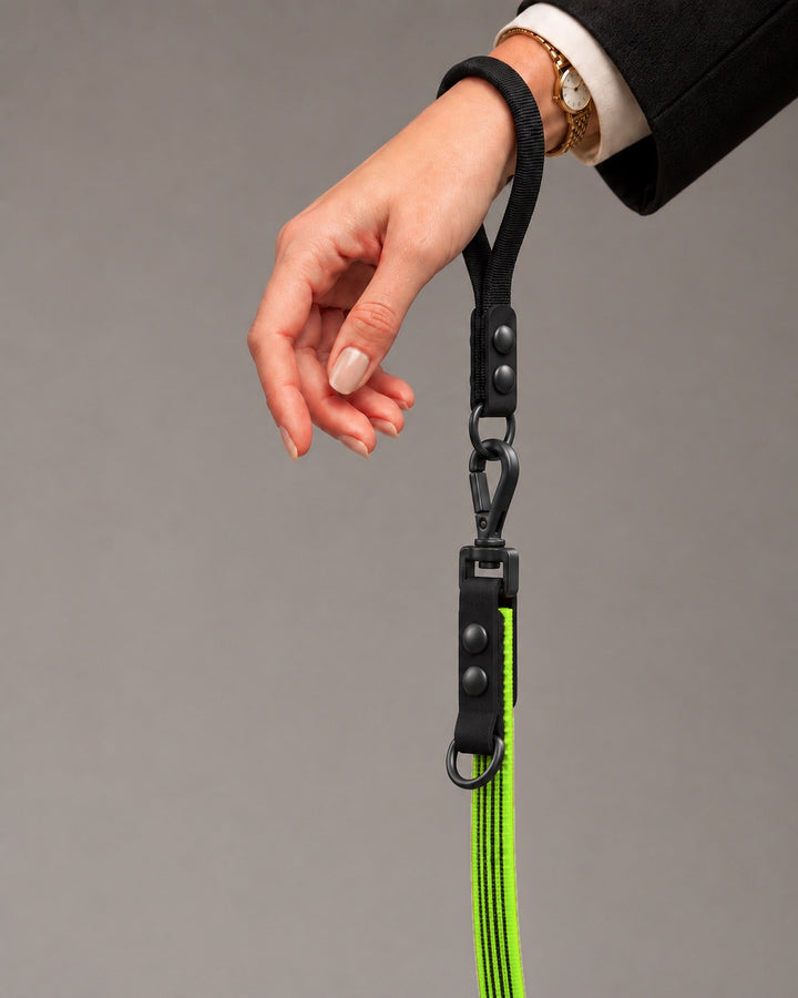 Leash FLEX, Lime / Black, kutyán