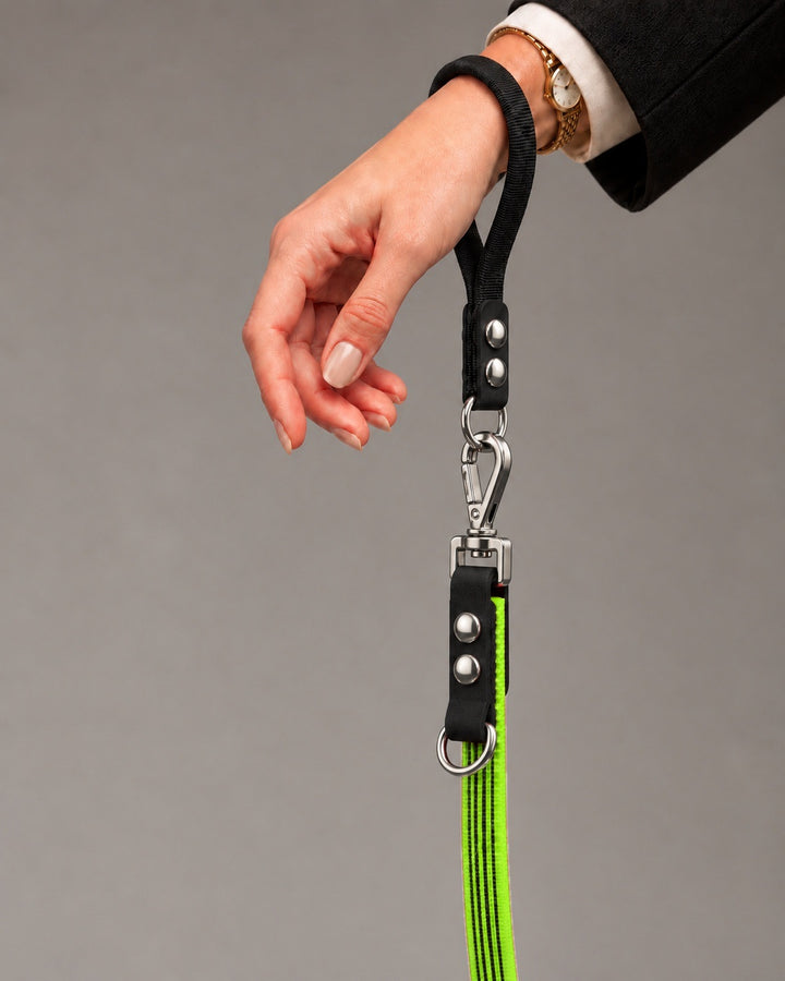 Leash FLEX, Lime / Silver, kutyán