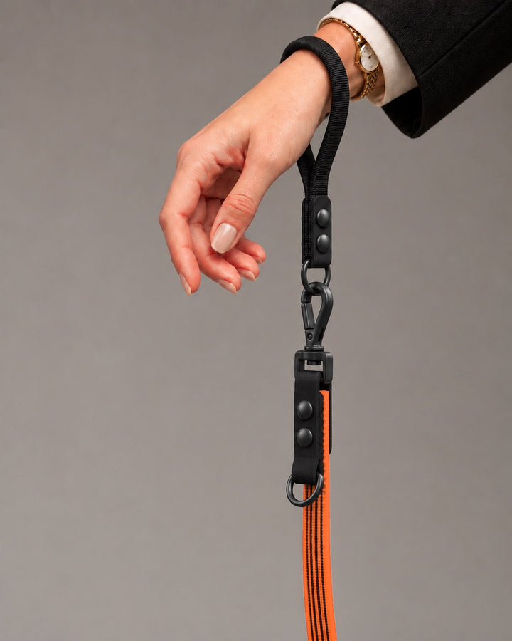 Leash FLEX, Orange / Black, kutyán