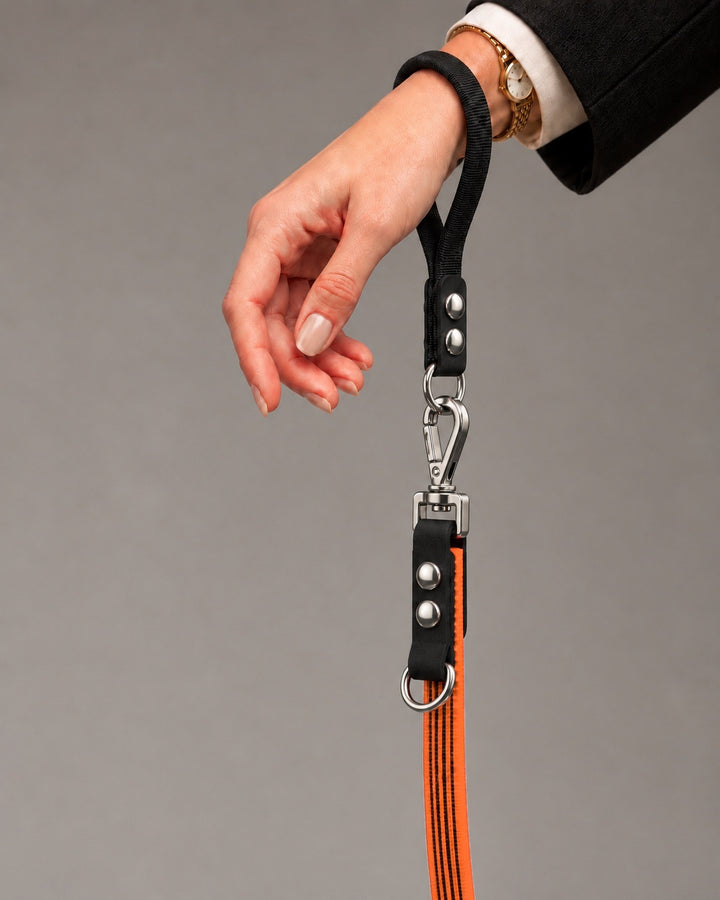 Leash FLEX, Orange / Silver, kutyán