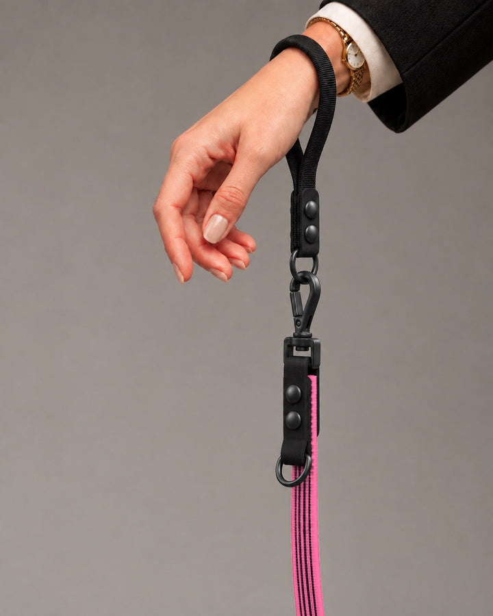 Leash FLEX, Pink / Black, kutyán