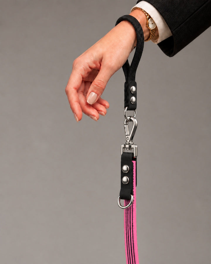 Leash FLEX, Pink / Silver, kutyán