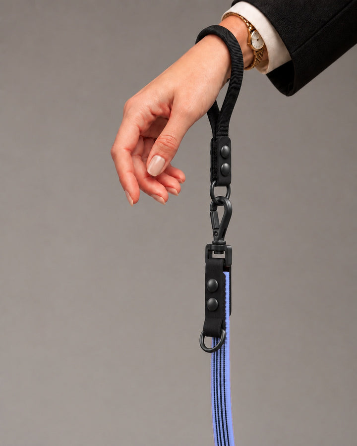 Leash FLEX, Purple / Black, kutyán