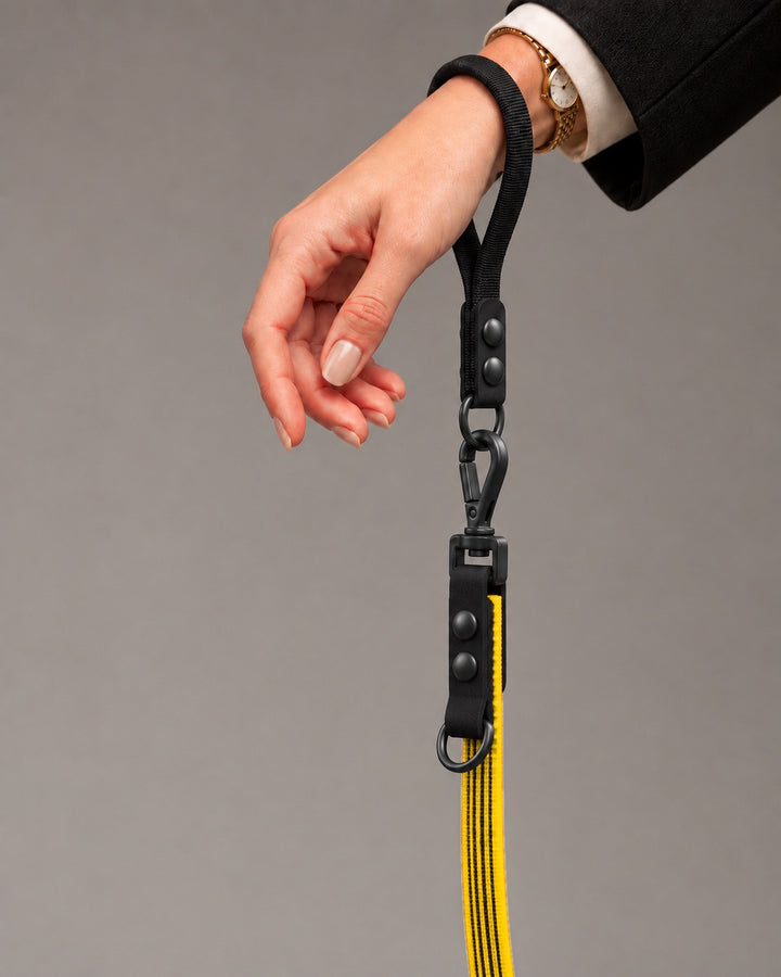 Leash FLEX, Yellow / Black, kutyán