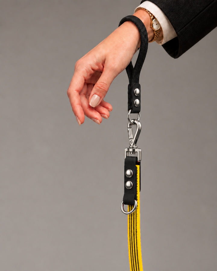 Leash FLEX, Yellow / Silver, kutyán