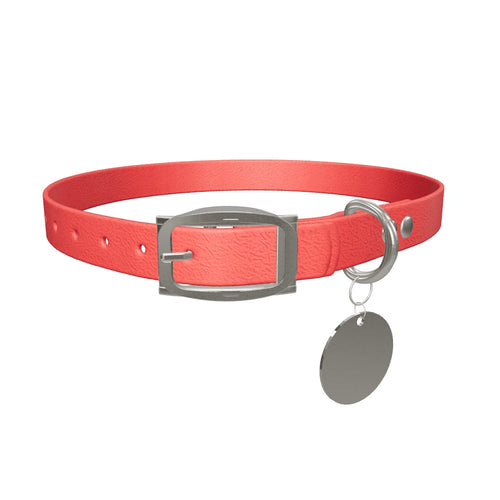 Collar MONO 3D master - XS, both buckle types, real webbing and hardware