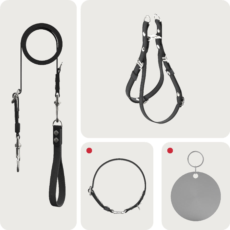 Walk KIT